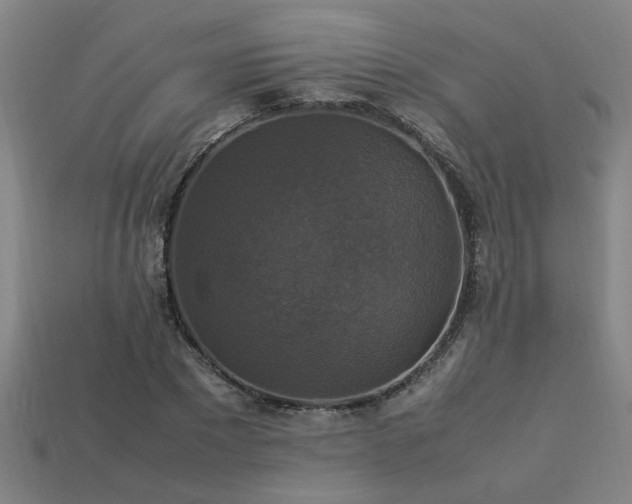 X0000113950881200909251336