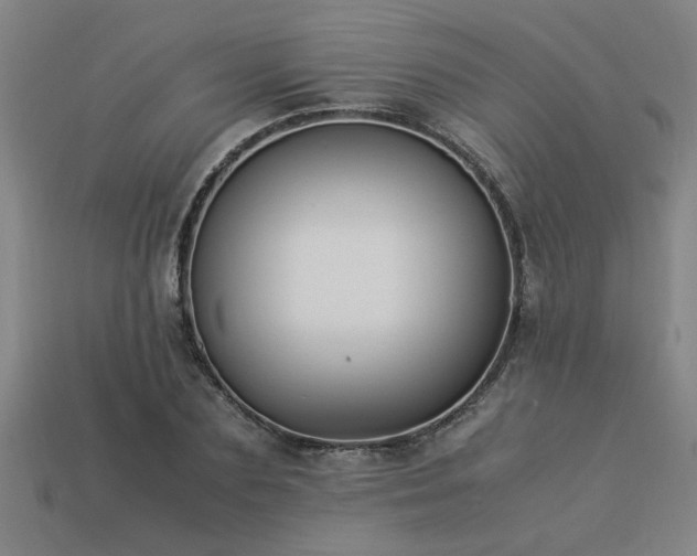 X0000113950883200909251336