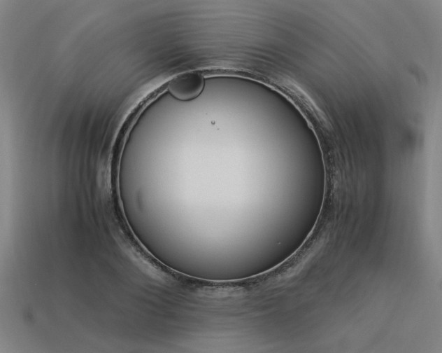 X0000113950884200909251336