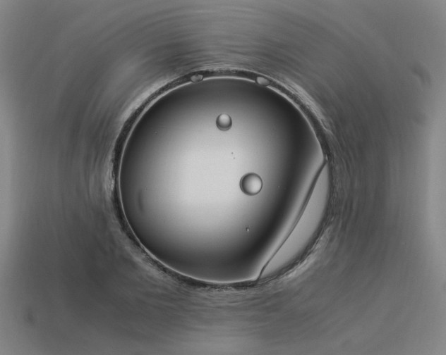 X0000113950885200909251336