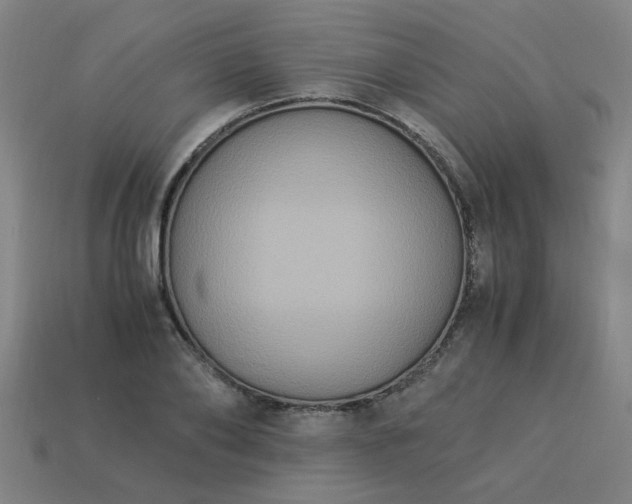 X0000113950886200909251336