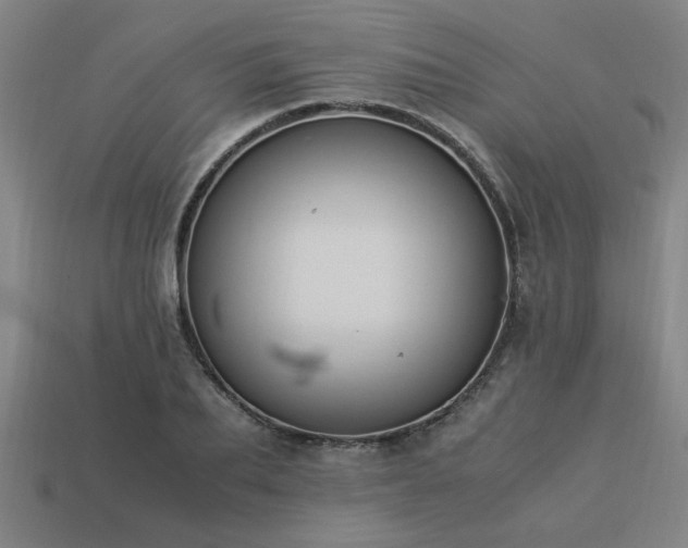 X0000113950887200909251336