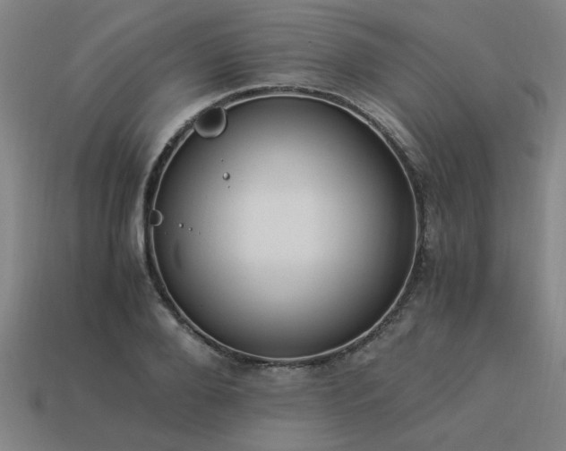 X0000113950888200909251336