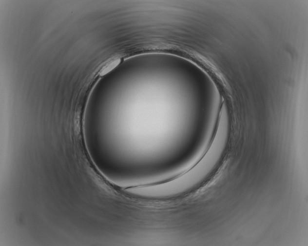 X0000113950889200909251336