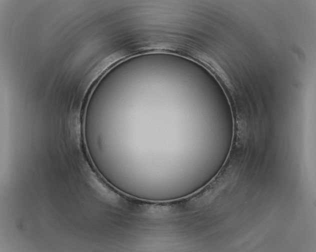 X0000113950890200909251336