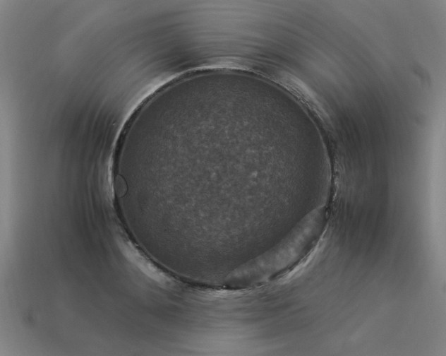 X0000113950892200909251336