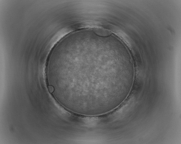 X0000113950893200909251336