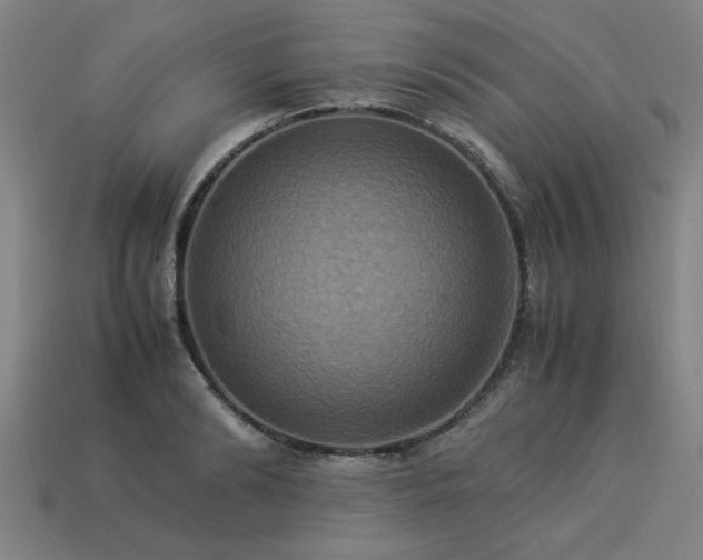 X0000113950894200909251336