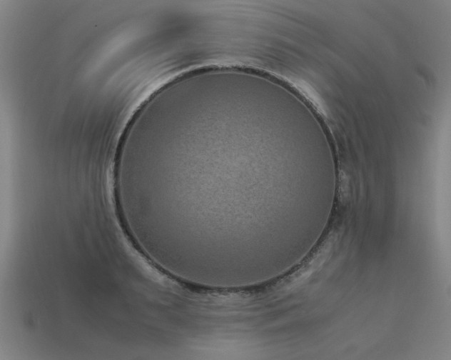 X0000113950895200909251336