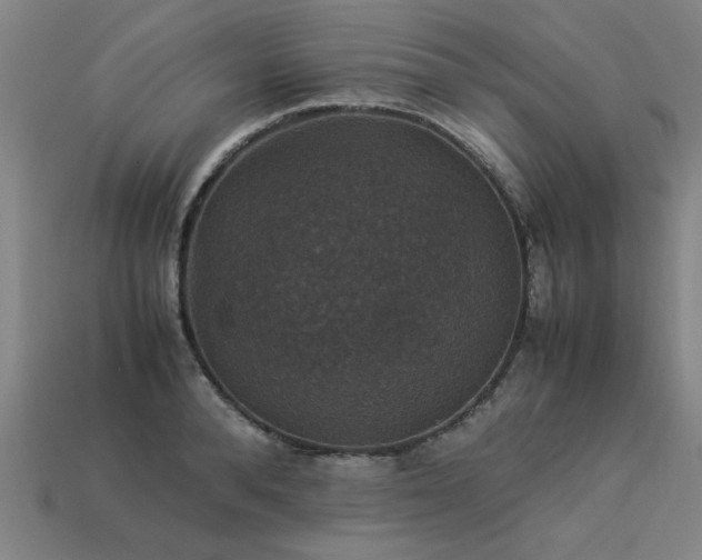 X0000113950896200909251336
