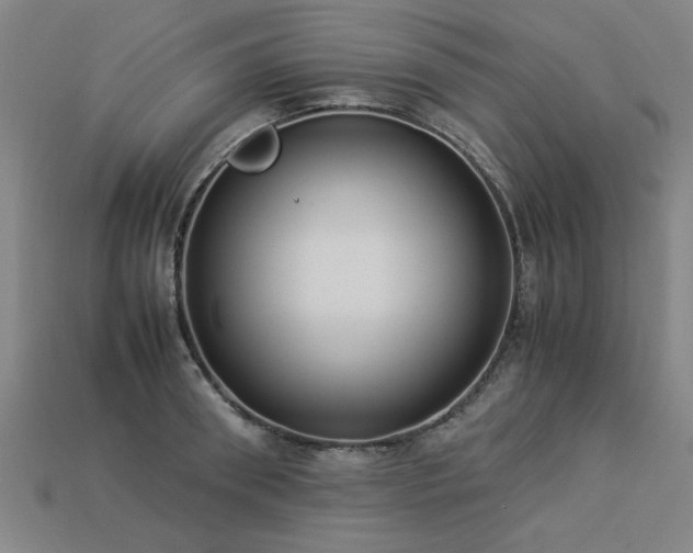 X0000113950898200909251336