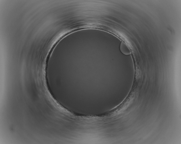 X0000113950899200909251336