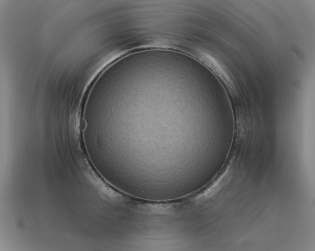 X0000113950900200909251336