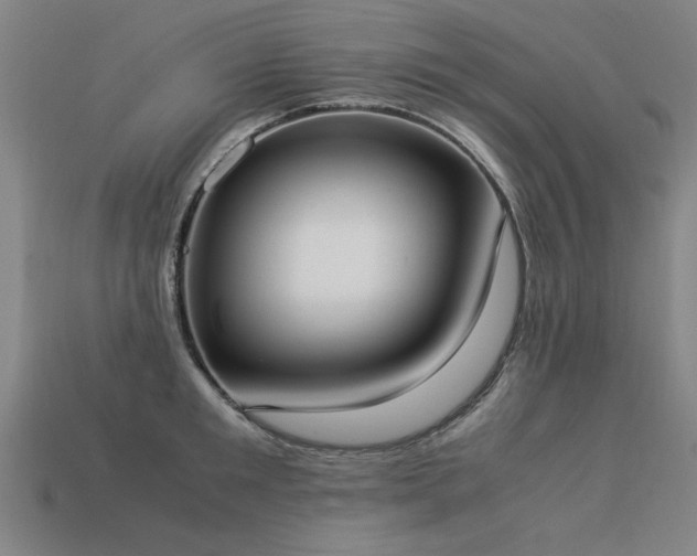 X0000113950901200909251336