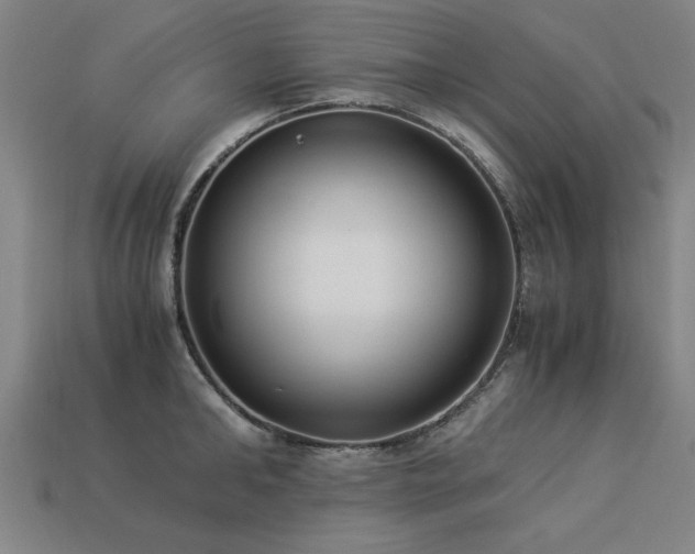 X0000113950902200909251336