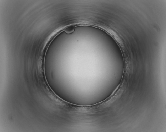 X0000113950904200909251336