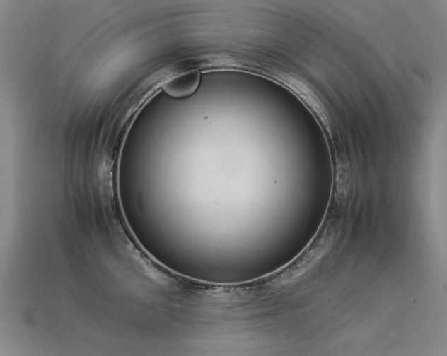 X0000113950906200909251336
