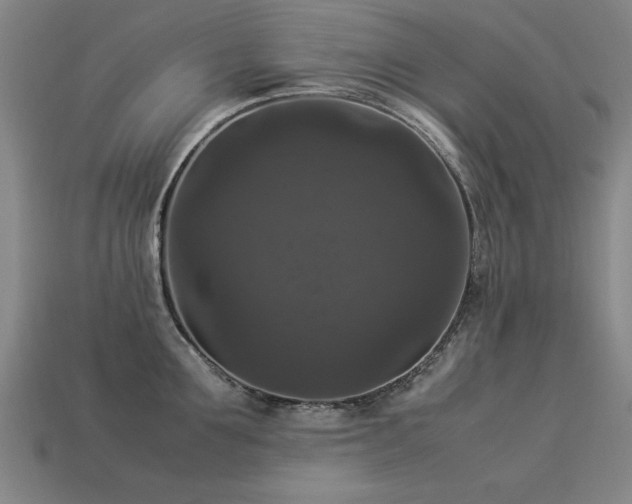 X0000113950907200909251336