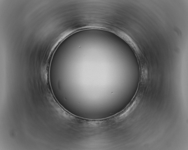 X0000113950908200909251336