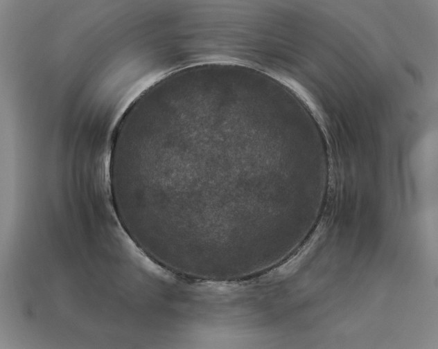 X0000113950910200909251336