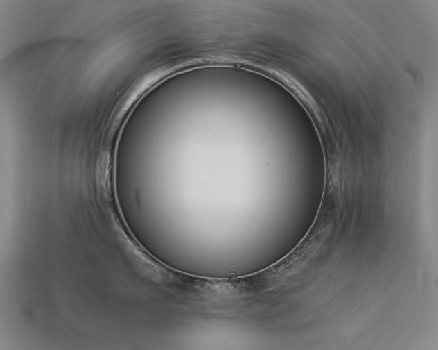 X0000113950911200909251336