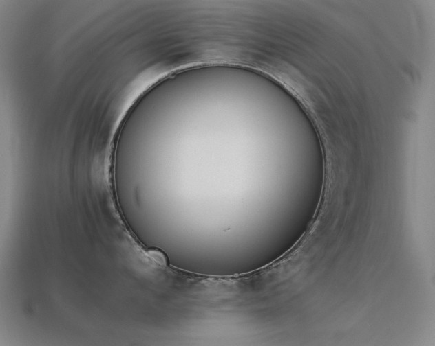 X0000113950912200909251336