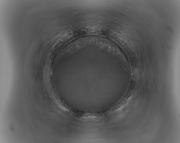 X0000113950913200909251335