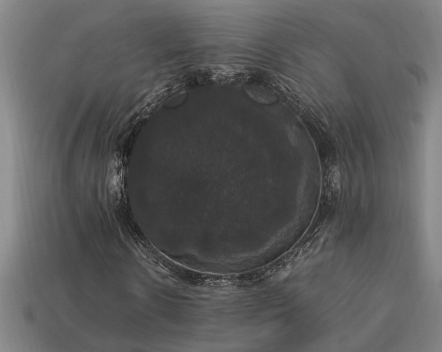 X0000113950914200909251335