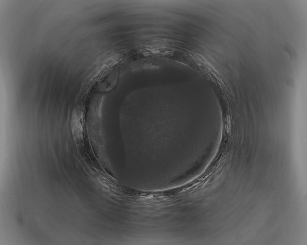 X0000113950915200909251335