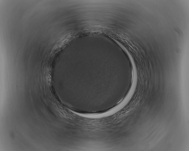 X0000113950916200909251335