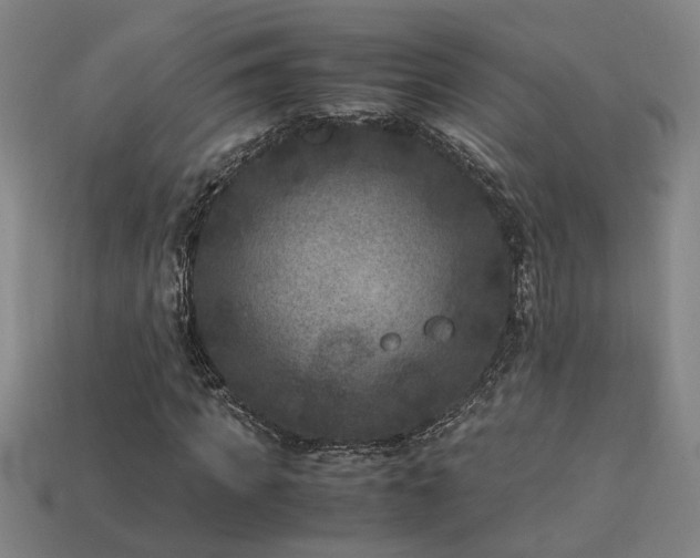 X0000113950917200909251335