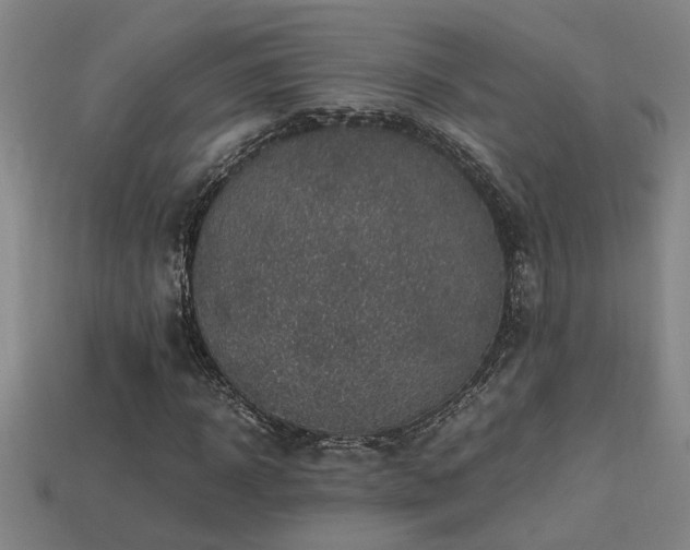 X0000113950918200909251335