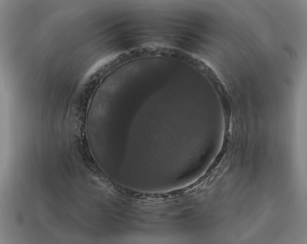 X0000113950919200909251335