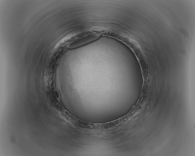 X0000113950920200909251335