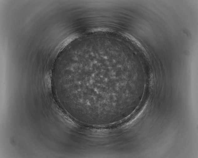 X0000113950921200909251335