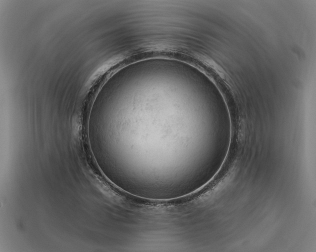 X0000113950922200909251335