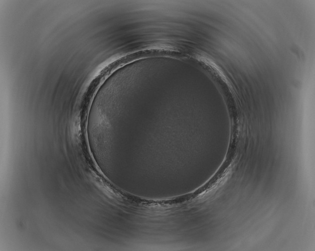 X0000113950923200909251335