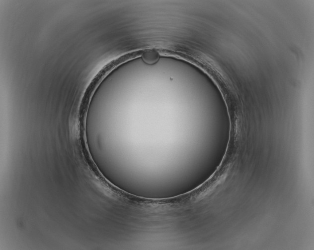 X0000113950924200909251335