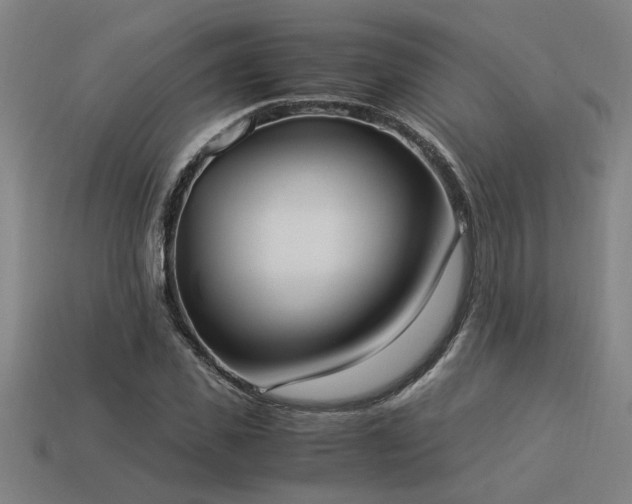 X0000113950925200909251335