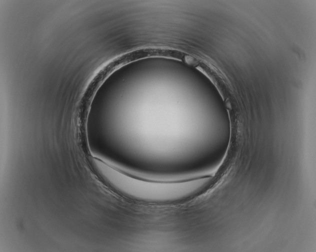 X0000113950926200909251335