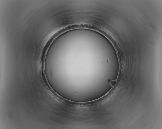 X0000113950927200909251335