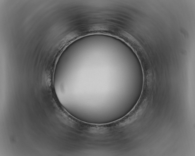 X0000113950929200909251335
