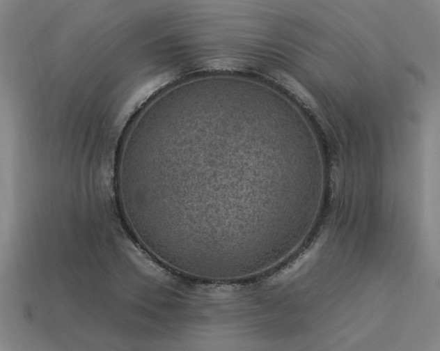 X0000113950930200909251335