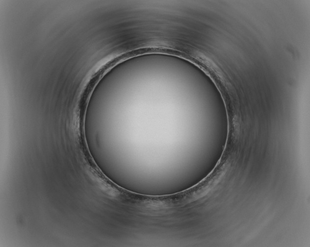 X0000113950931200909251335
