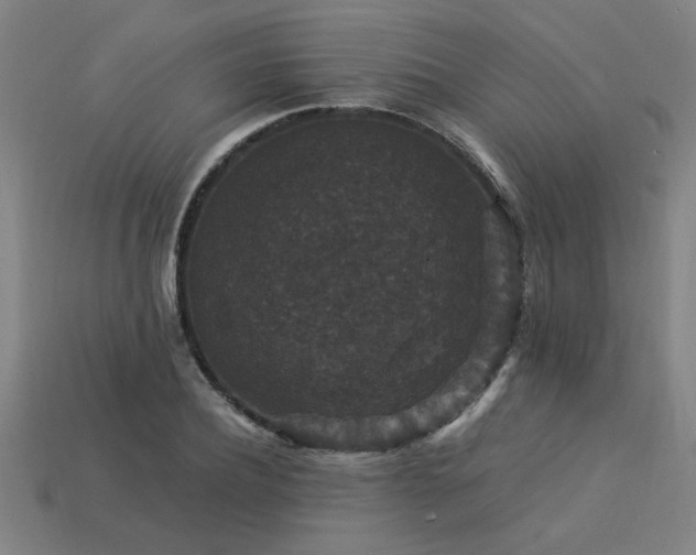 X0000113950932200909251335