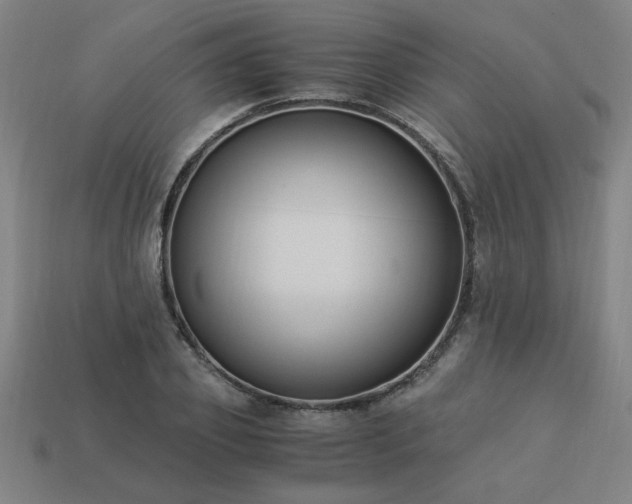 X0000113950933200909251335