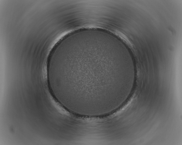 X0000113950934200909251335