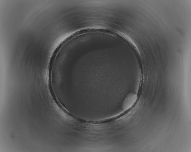 X0000113950935200909251335