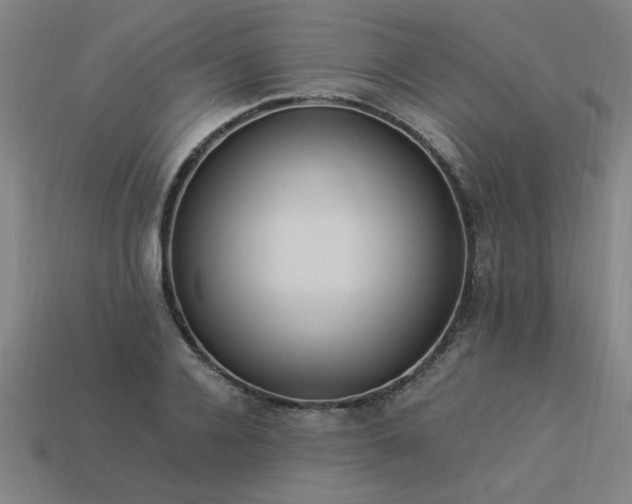 X0000113950936200909251335