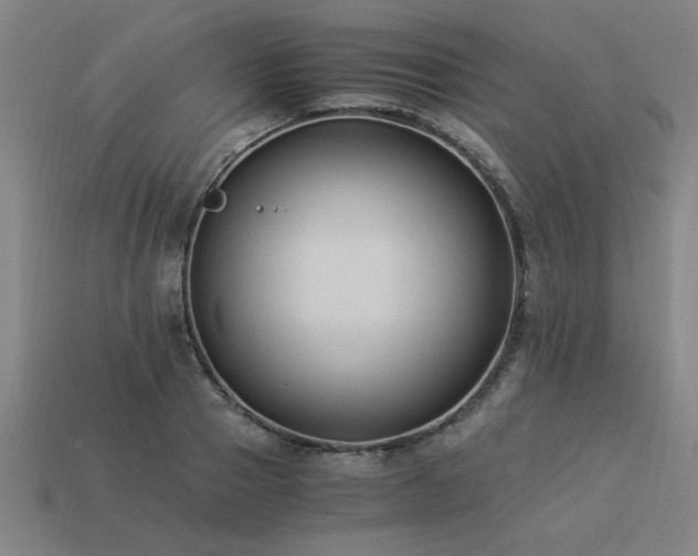 X0000113950937200909251336